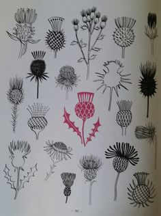 an image of flowers drawn in ink on paper