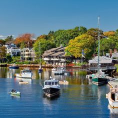 several boats are docked in the water near some houses and trees with leaves on them