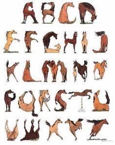 an image of horses in different poses