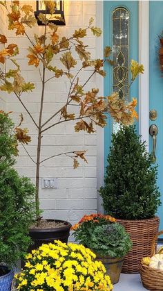 the front door is decorated with yellow flowers and potted plants, including mums