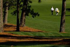 two people walking on a golf course with trees in the foreground and one person holding a yellow frisbee