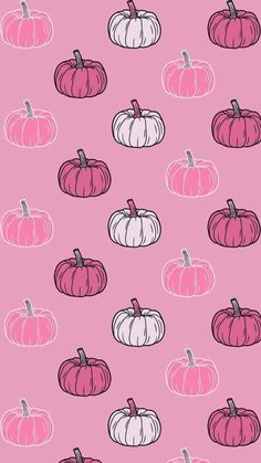 pink and white pumpkins on a pink background