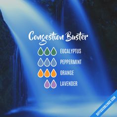 Congestion Buster - Essential Oil Diffuser Blend