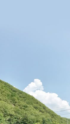 a group of people standing on the side of a lush green hillside under a blue sky