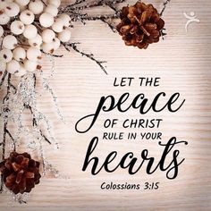 the words let the peace of christ rules in your hearts with pine cones and berries