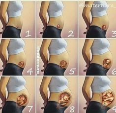 there is a woman's stomach with six different pictures showing the stages of her tummy