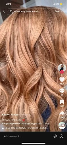 Strawberry Blonde Toner, Celebrities Hairstyles, Blonde Toner, Copper Blonde Hair, Warm Blonde Hair, Hairstyles And Colors