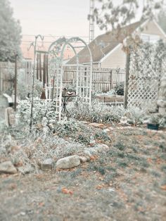 the garden is full of flowers and plants, including an old fashioned trellis in the foreground