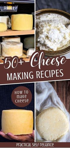 cheese making recipe collage with text overlay that reads, 50 + cheese making recipes how to make cheese