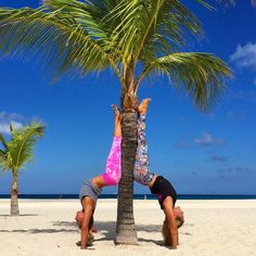 two people doing handstands on the beach under a palm tree