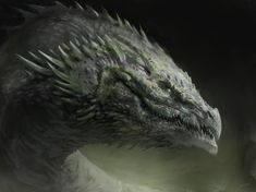 a close up of a dragon's head on a black background with white clouds