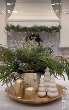 a potted plant sitting on top of a wooden platter filled with christmas decorations