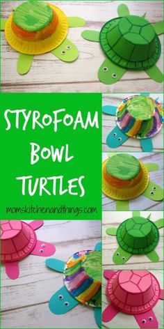 paper plate turtle craft for children to make