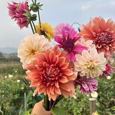 a vase filled with lots of colorful flowers on top of a wooden table in front of a field