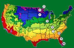 the united states is covered in many different types of trees and shrubs, with numbers on each map