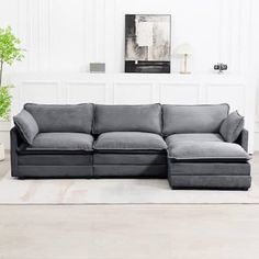 a living room with a gray couch and white walls