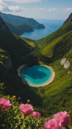 pink flowers are in the foreground, and a body of water is in the background