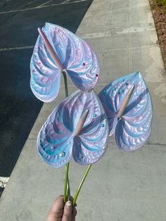 a hand holding three blue flowers on a sidewalk