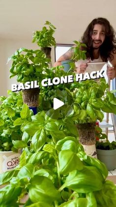 a man standing in front of plants with the words basil clone hack