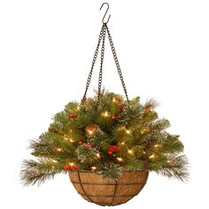 a potted plant hanging from a chain with christmas lights on it's branches