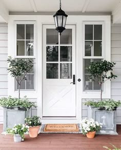 two potted plants are sitting on the front porch next to a door with glass panes