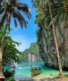 there are many boats in the water near some palm trees and rocks on the beach