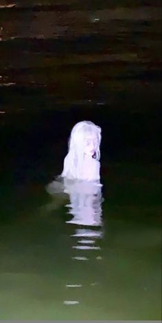 there is a white dog floating in the water