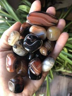 Rock Collection, Banded Agate, Gem Stones