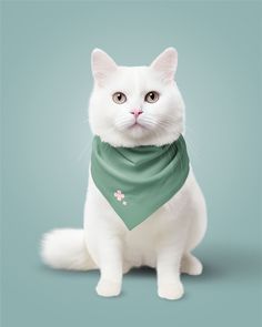 a white cat wearing a green bandana