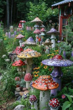 many different colored mushrooms are growing in the garden