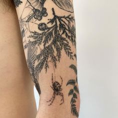 a man's arm with tattoos on it, and an insect in the middle