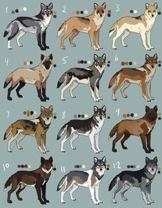 the different types of dogs are shown in this drawing style, and each dog has its own name on it's chest