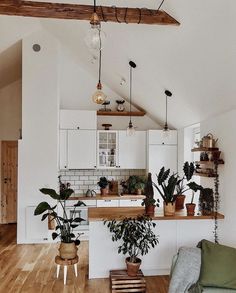 a living room filled with lots of furniture and plants on top of a hard wood floor