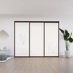 a living room with white walls and wooden floors, an indoor plant in the corner