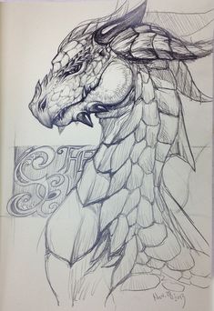 a drawing of a dragon head with the word spirit on it's chest and wings