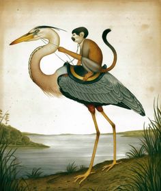 a bird with a monkey on it's back