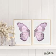 two framed butterfly pictures on a mantle with vases and flowers in front of them