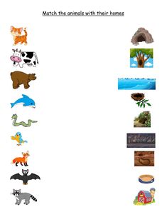 an animal themed worksheet for kids