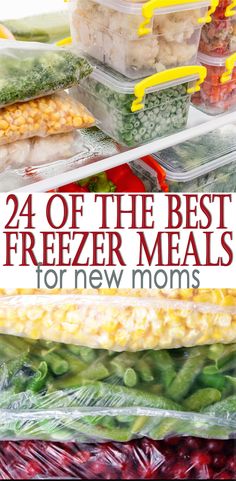 freezer meals with text overlay that reads 24 of the best freezer meals for new moms