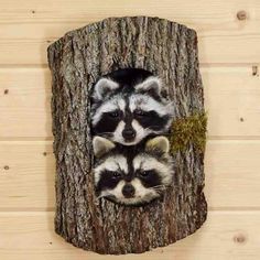 two raccoons peeking out of a hole in the bark of a tree trunk