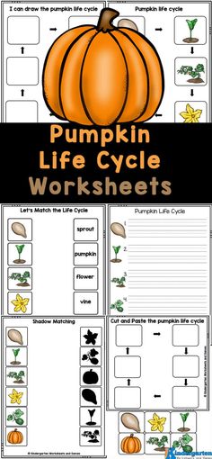 pumpkin life cycle worksheets for kids to practice their writing and drawing skills with