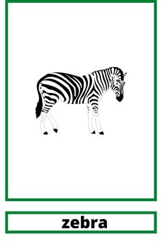 a zebra standing in the middle of a green frame with an animal name below it