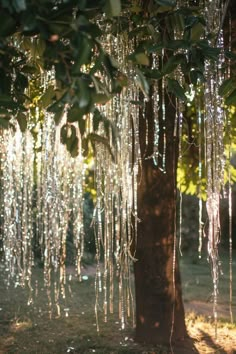 the sun is shining through the trees with beads hanging from them