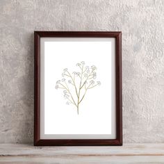 a framed photograph of a plant on a wall