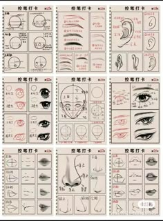 an image of various types of eyes and how to draw them with pencils on paper