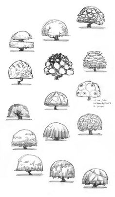 several different types of trees in various shapes and sizes, all drawn with pencils