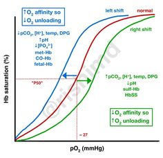 the phase diagram shows how different phases are present