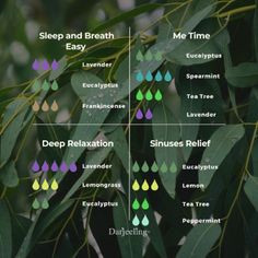 Deep Sleep Essential Oils, Sleeping Essential Oil Blends, Oils For Sinus, Relaxing Essential Oils, Essential Oil Combinations, Aromatherapy Essential Oils, Doterra Essential Oils Recipes