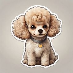 a brown poodle sitting on top of a white floor next to a gray wall