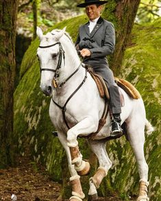 a man riding on the back of a white horse next to a tree filled forest